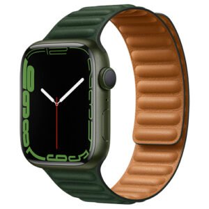 Apple Watch Series 8